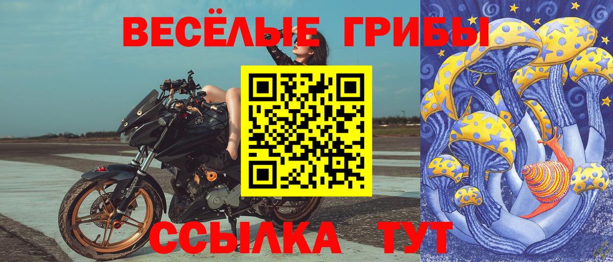 Псилоцибиновые грибы Psilocybine cubensis  Вход с VPN  Галлюциногенные грибы прущие грибы  Кондопога 