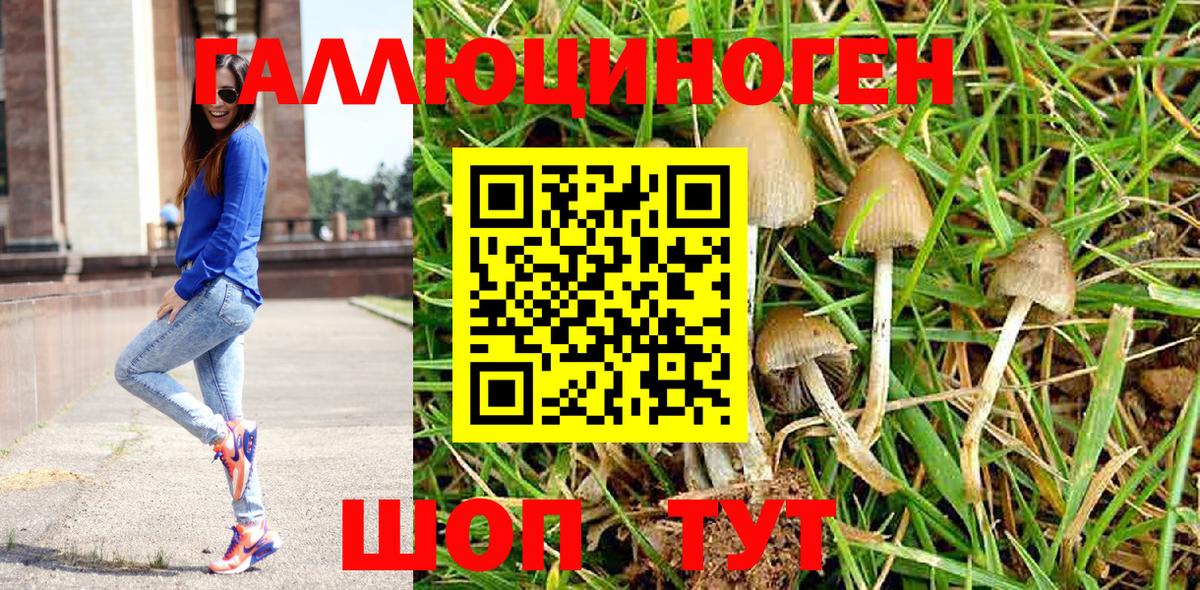 Псилоцибиновые грибы ЛСД Кондопога